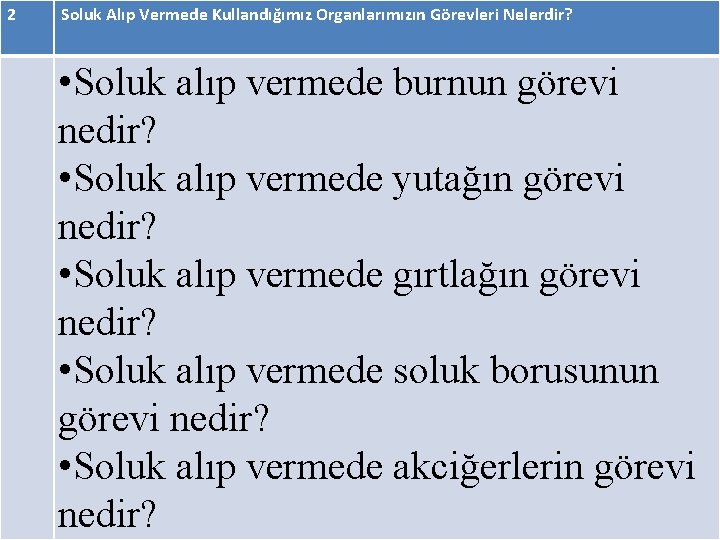 2 Soluk Alıp Vermede Kullandığımız Organlarımızın Görevleri Nelerdir? • Soluk alıp vermede burnun görevi