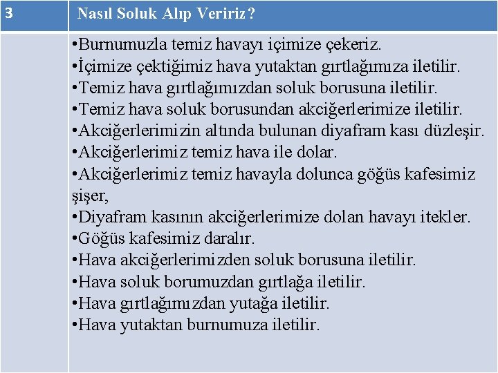 3 Nasıl Soluk Alıp Veririz? • Burnumuzla temiz havayı içimize çekeriz. • İçimize çektiğimiz