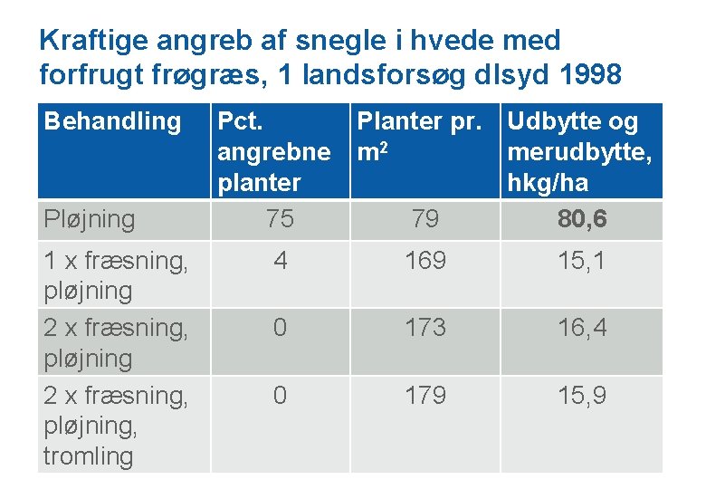 Kraftige angreb af snegle i hvede med forfrugt frøgræs, 1 landsforsøg dlsyd 1998 Behandling