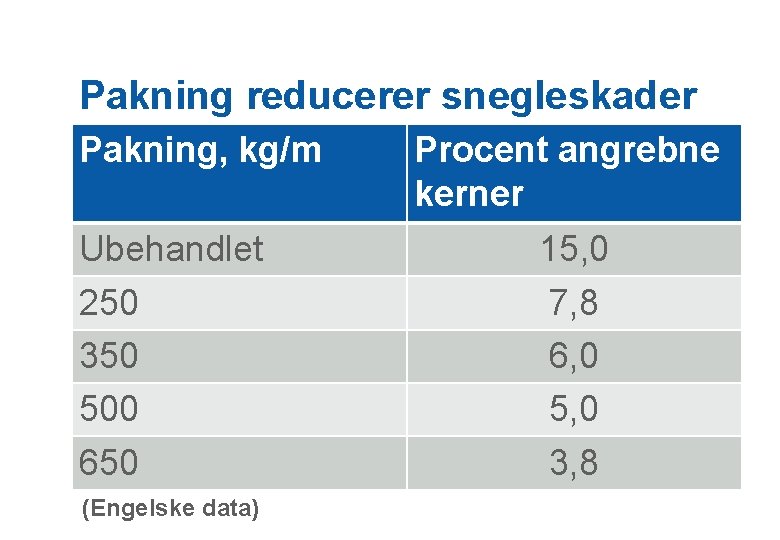 Pakning reducerer snegleskader Pakning, kg/m Ubehandlet 250 350 500 650 (Engelske data) Procent angrebne