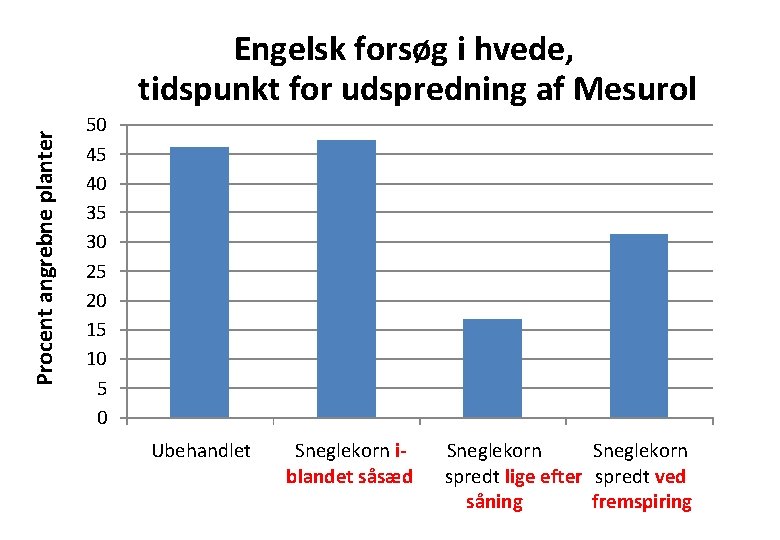 Procent angrebne planter Engelsk forsøg i hvede, tidspunkt for udspredning af Mesurol 50 45