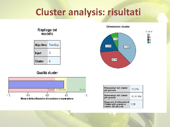 Cluster analysis: risultati 