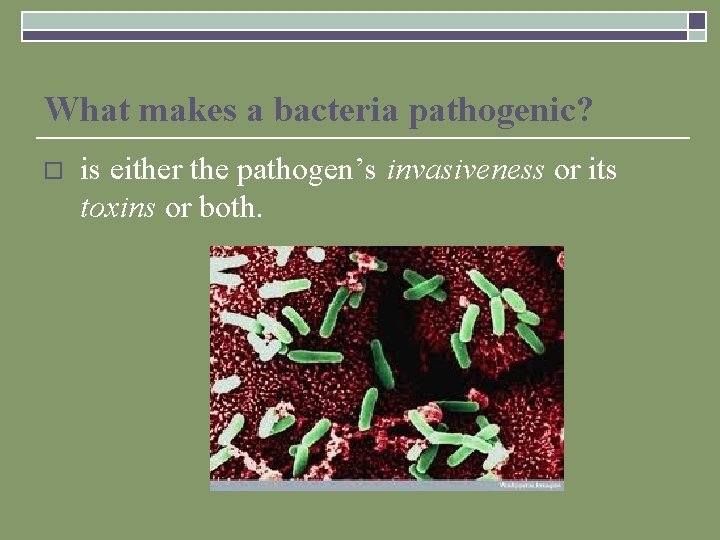 What makes a bacteria pathogenic? o is either the pathogen’s invasiveness or its toxins