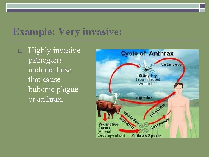Example: Very invasive: o Highly invasive pathogens include those that cause bubonic plague or