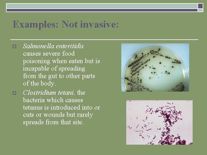 Examples: Not invasive: o o Salmonella enteritidis causes severe food poisoning when eaten but