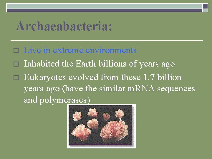 Archaeabacteria: o o o Live in extreme environments Inhabited the Earth billions of years