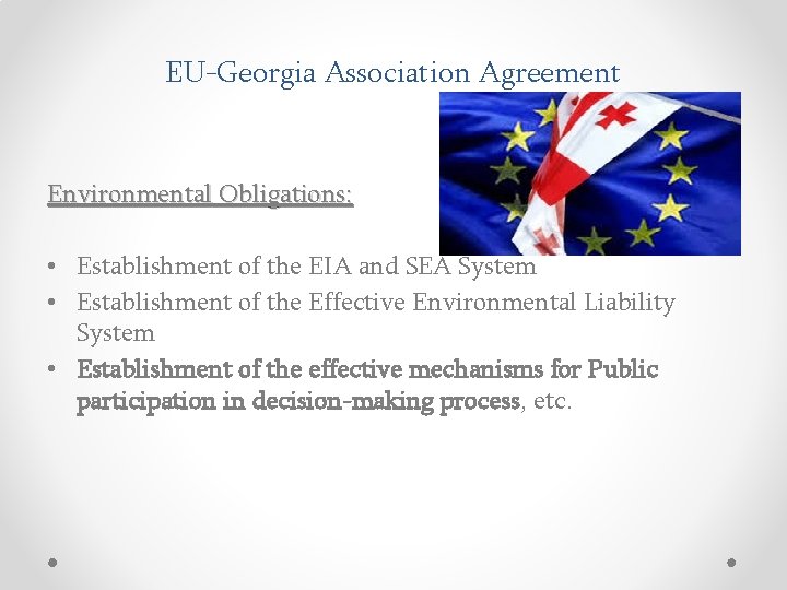EU-Georgia Association Agreement Environmental Obligations: • Establishment of the EIA and SEA System •