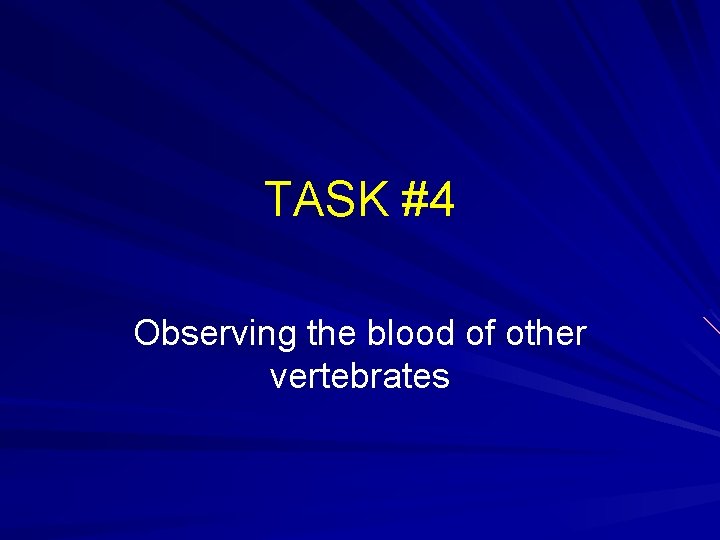 TASK #4 Observing the blood of other vertebrates 
