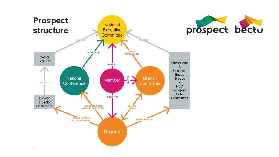 Prospect structure 8 