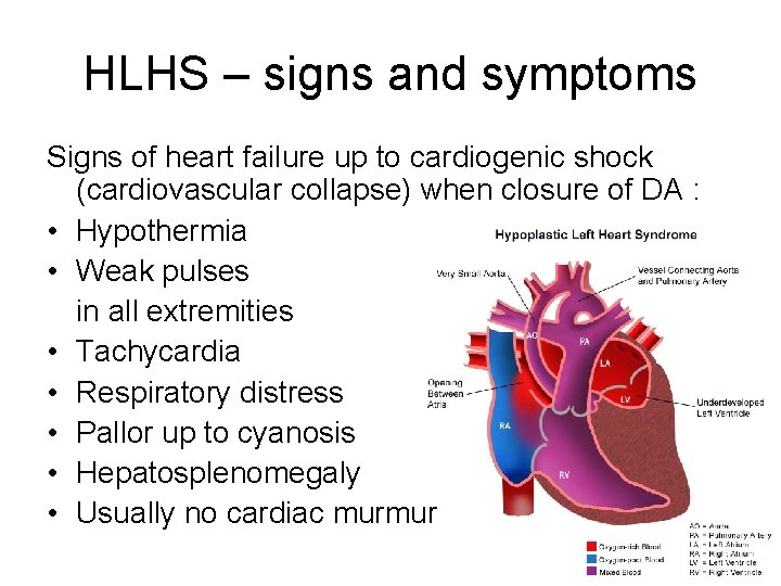 HLHS – signs and symptoms Signs of heart failure up to cardiogenic shock (cardiovascular
