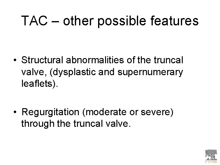 TAC – other possible features • Structural abnormalities of the truncal valve, (dysplastic and