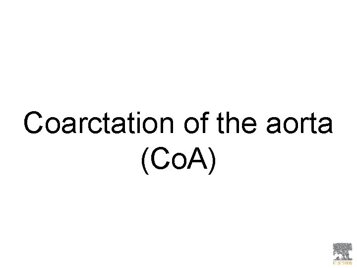 Coarctation of the aorta (Co. A) 