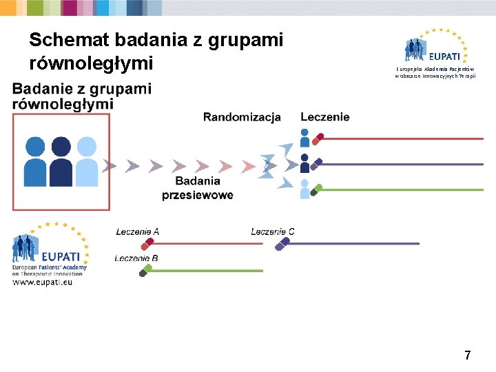 Schemat badania z grupami równoległymi Europejska Akademia Pacjentów w obszarze Innowacyjnych Terapii 7 