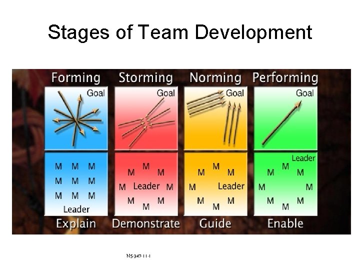 Stages of Team Development N 5 -347 -11 -1 