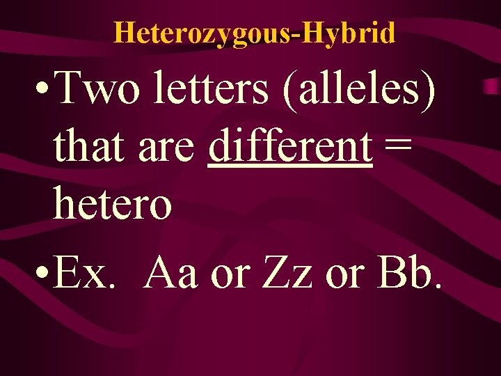 Heterozygous-Hybrid • Two letters (alleles) that are different = hetero • Ex. Aa or