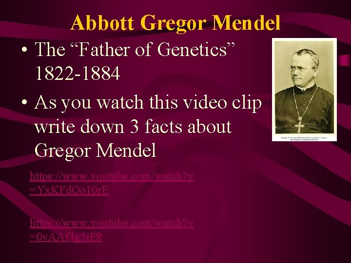 Abbott Gregor Mendel • The “Father of Genetics” 1822 -1884 • As you watch