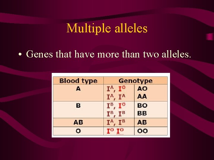 Multiple alleles • Genes that have more than two alleles. 