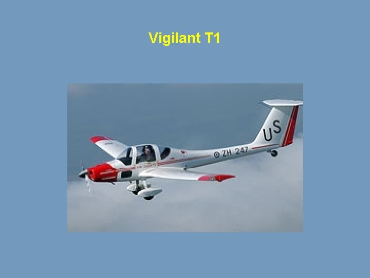 Vigilant T 1 