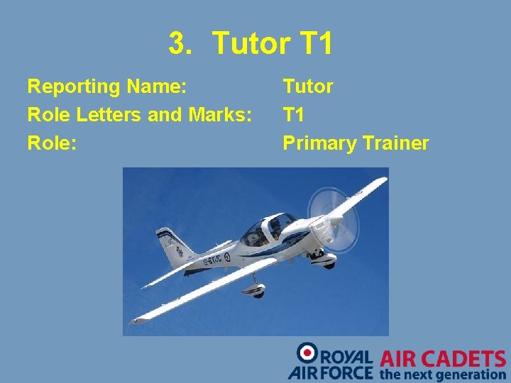 3. Tutor T 1 Reporting Name: Role Letters and Marks: Role: Tutor T 1