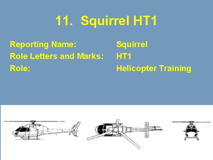 11. Squirrel HT 1 Reporting Name: Role Letters and Marks: Role: Squirrel HT 1