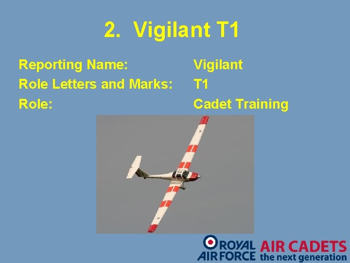 2. Vigilant T 1 Reporting Name: Role Letters and Marks: Role: Vigilant T 1