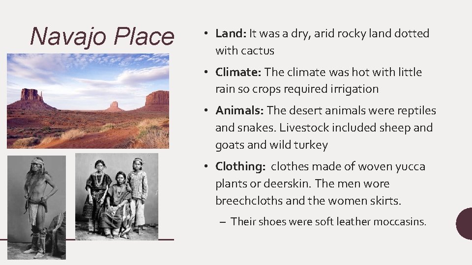 Navajo Place • Land: It was a dry, arid rocky land dotted with cactus