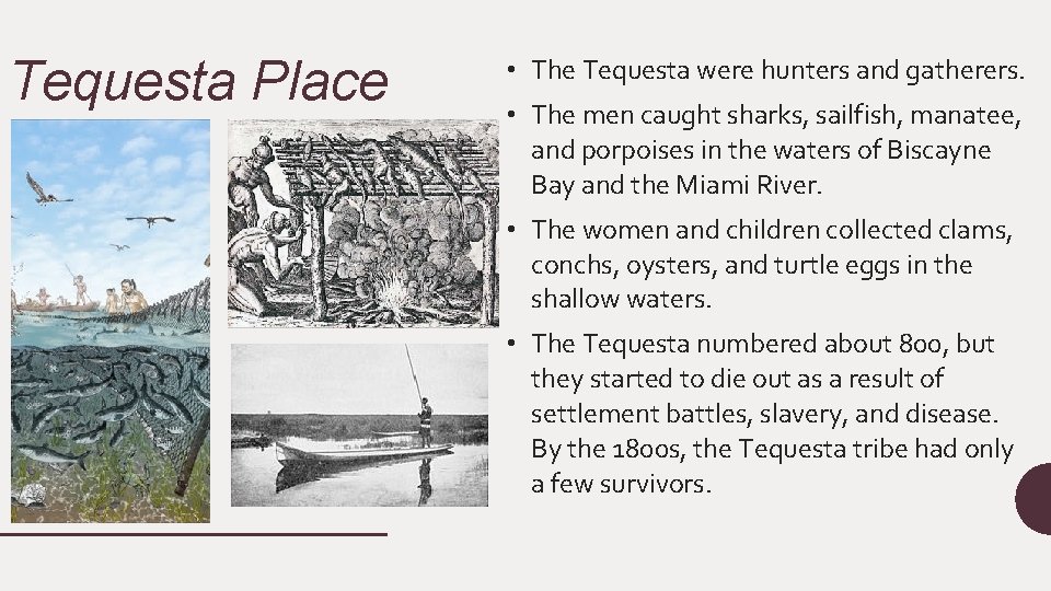 Tequesta Place • The Tequesta were hunters and gatherers. • The men caught sharks,