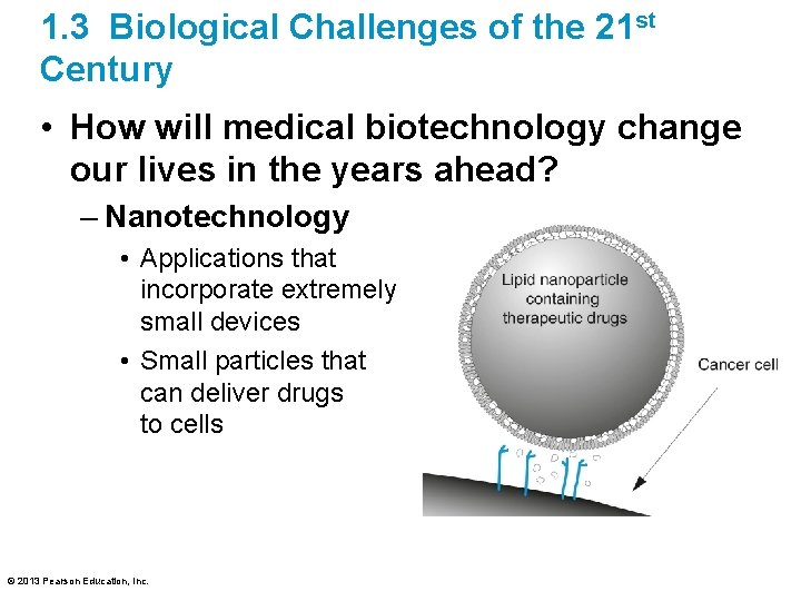1. 3 Biological Challenges of the 21 st Century • How will medical biotechnology
