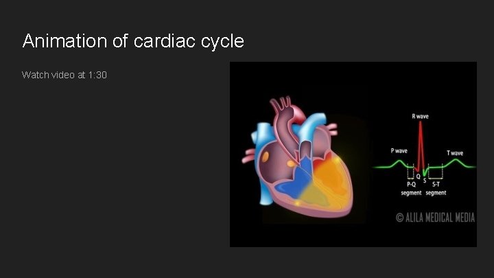 Animation of cardiac cycle Watch video at 1: 30 Animation of cardiac cycle Watch video at 1: 30