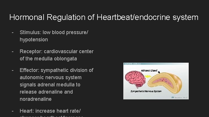 Hormonal Regulation of Heartbeat/endocrine system - Stimulus: low blood pressure/ hypotension - Receptor: cardiovascular