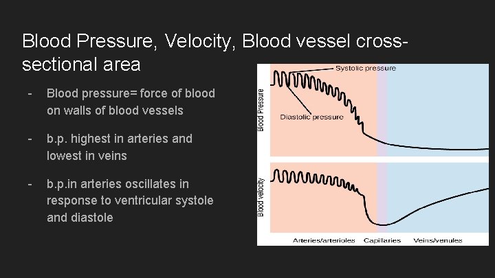 Blood Pressure, Velocity, Blood vessel crosssectional area - Blood pressure= force of blood on