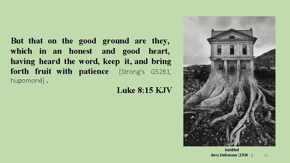 But that on the good ground are they, which in an honest and good