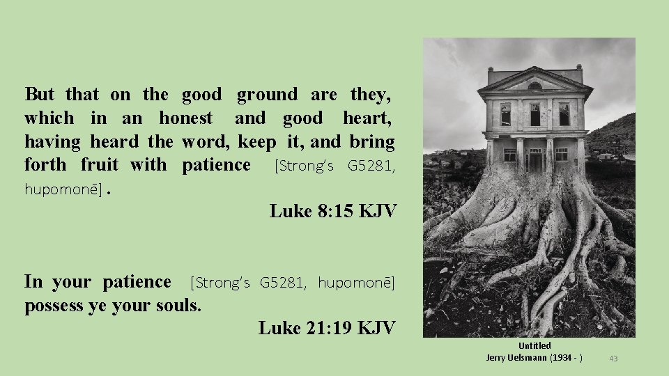 But that on the good ground are they, which in an honest and good
