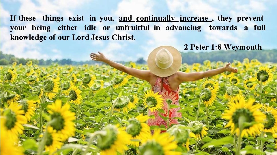 If these things exist in you, and continually increase , they prevent your being