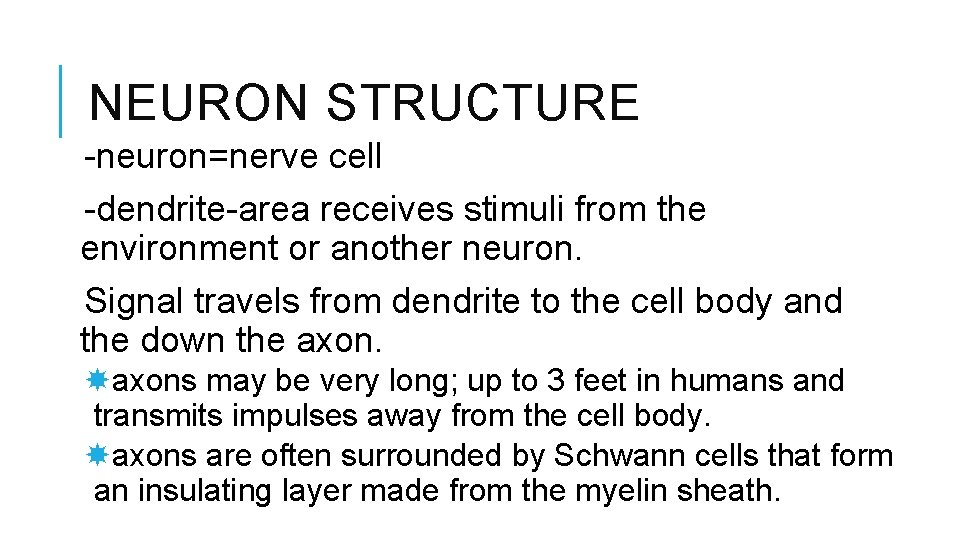 NEURON STRUCTURE -neuron=nerve cell -dendrite-area receives stimuli from the environment or another neuron. Signal