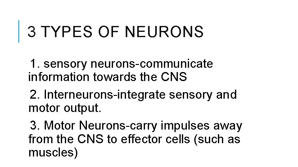 3 TYPES OF NEURONS 1. sensory neurons-communicate information towards the CNS 2. Interneurons-integrate sensory