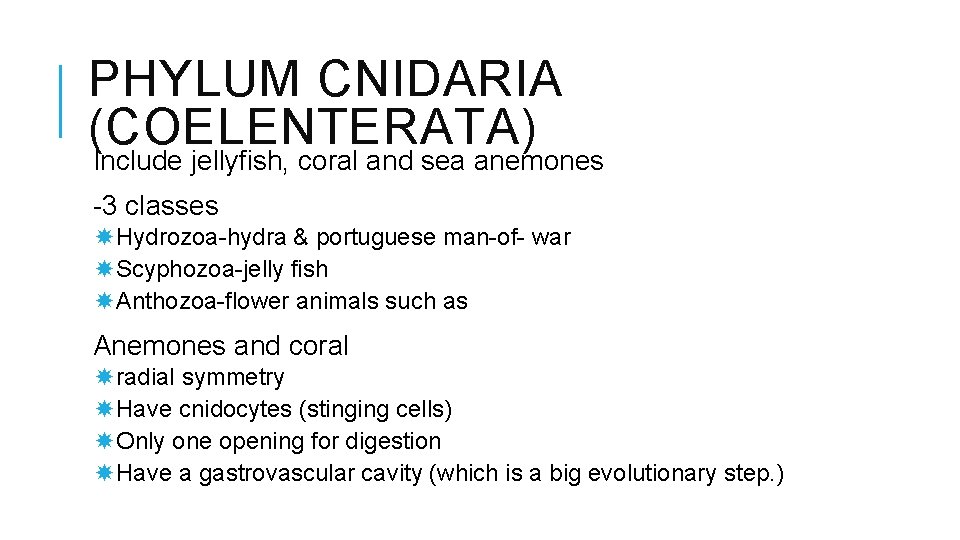 PHYLUM CNIDARIA (COELENTERATA) Include jellyfish, coral and sea anemones -3 classes Hydrozoa-hydra & portuguese