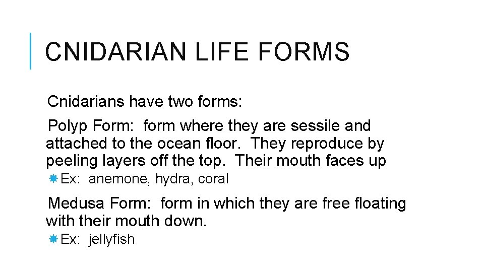 CNIDARIAN LIFE FORMS Cnidarians have two forms: Polyp Form: form where they are sessile