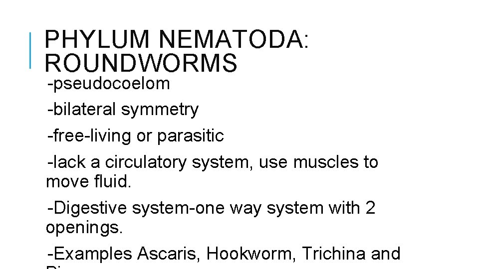 PHYLUM NEMATODA: ROUNDWORMS -pseudocoelom -bilateral symmetry -free-living or parasitic -lack a circulatory system, use