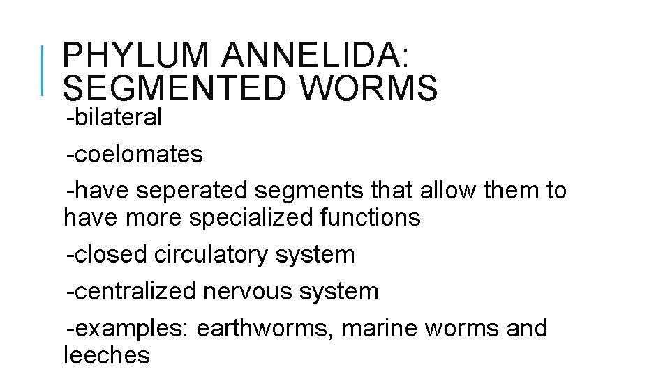 PHYLUM ANNELIDA: SEGMENTED WORMS -bilateral -coelomates -have seperated segments that allow them to have