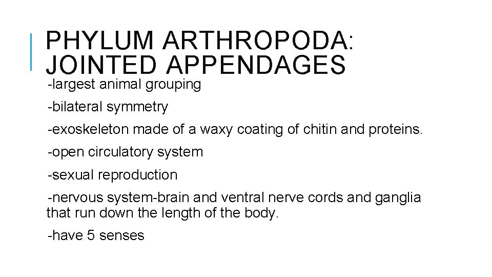 PHYLUM ARTHROPODA: JOINTED APPENDAGES -largest animal grouping -bilateral symmetry -exoskeleton made of a waxy