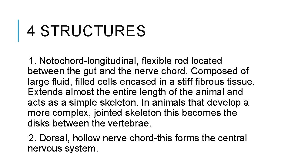 4 STRUCTURES 1. Notochord-longitudinal, flexible rod located between the gut and the nerve chord.