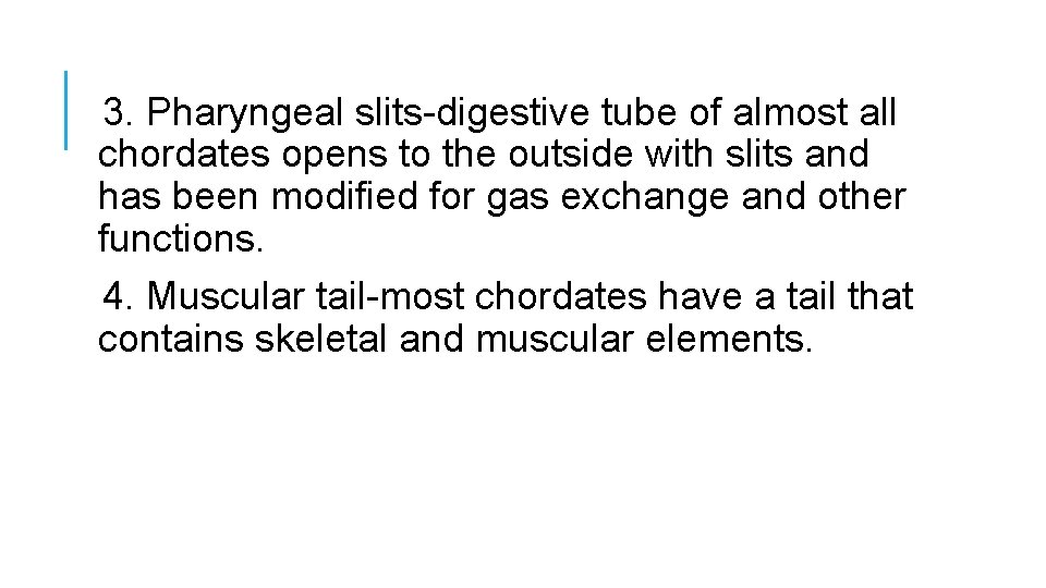 3. Pharyngeal slits-digestive tube of almost all chordates opens to the outside with slits