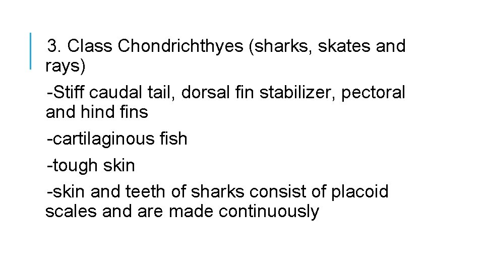 3. Class Chondrichthyes (sharks, skates and rays) -Stiff caudal tail, dorsal fin stabilizer, pectoral