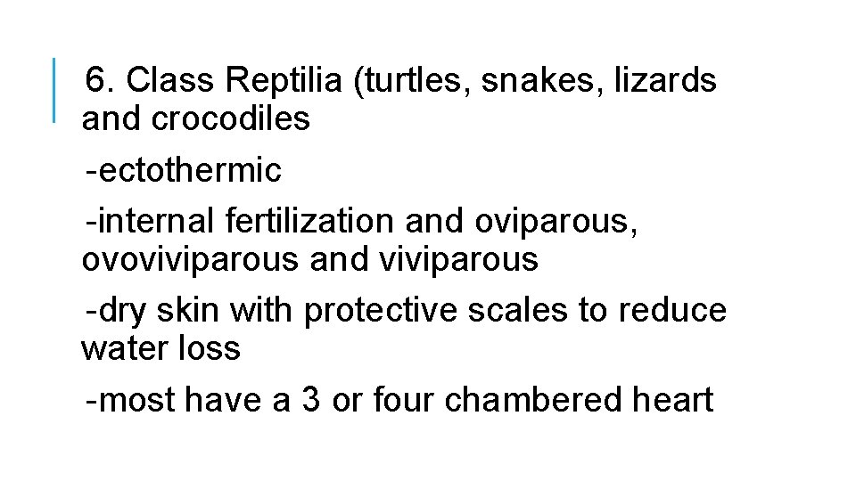 6. Class Reptilia (turtles, snakes, lizards and crocodiles -ectothermic -internal fertilization and oviparous, ovoviviparous