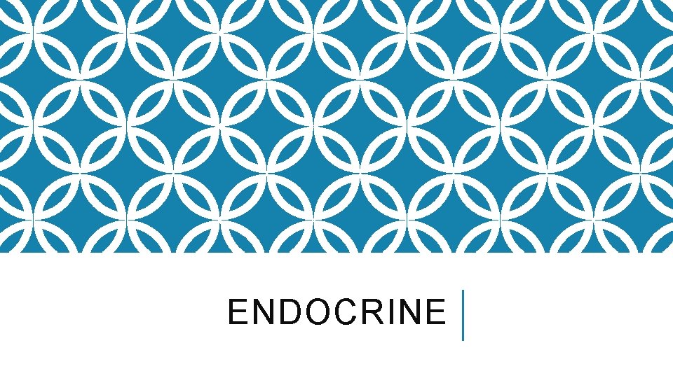 ENDOCRINE 