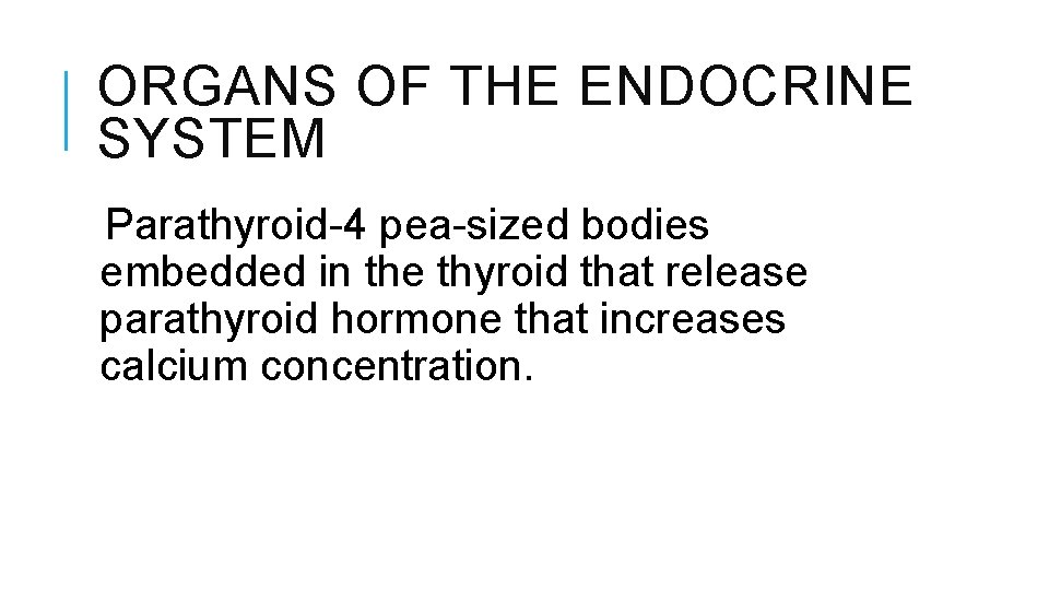 ORGANS OF THE ENDOCRINE SYSTEM Parathyroid-4 pea-sized bodies embedded in the thyroid that release