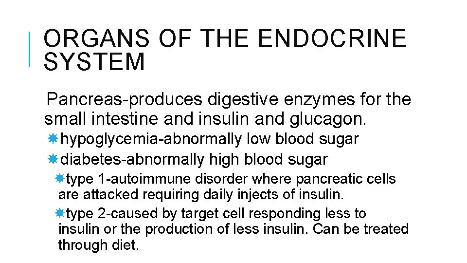 ORGANS OF THE ENDOCRINE SYSTEM Pancreas-produces digestive enzymes for the small intestine and insulin