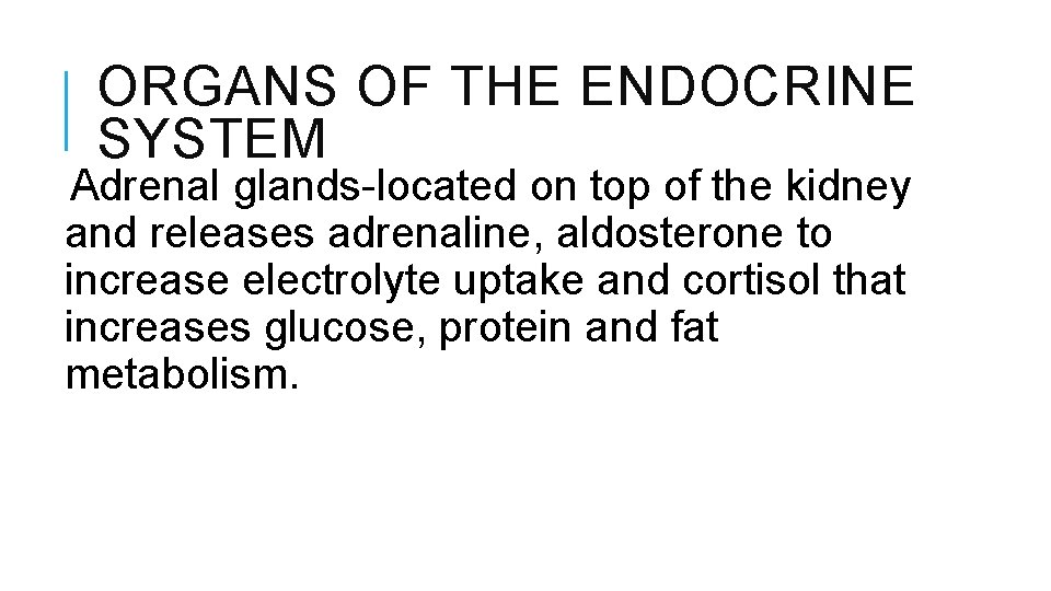 ORGANS OF THE ENDOCRINE SYSTEM Adrenal glands-located on top of the kidney and releases