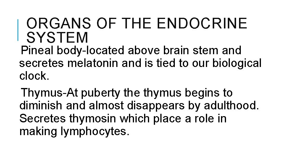 ORGANS OF THE ENDOCRINE SYSTEM Pineal body-located above brain stem and secretes melatonin and